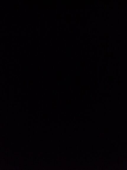 Digital Training Program